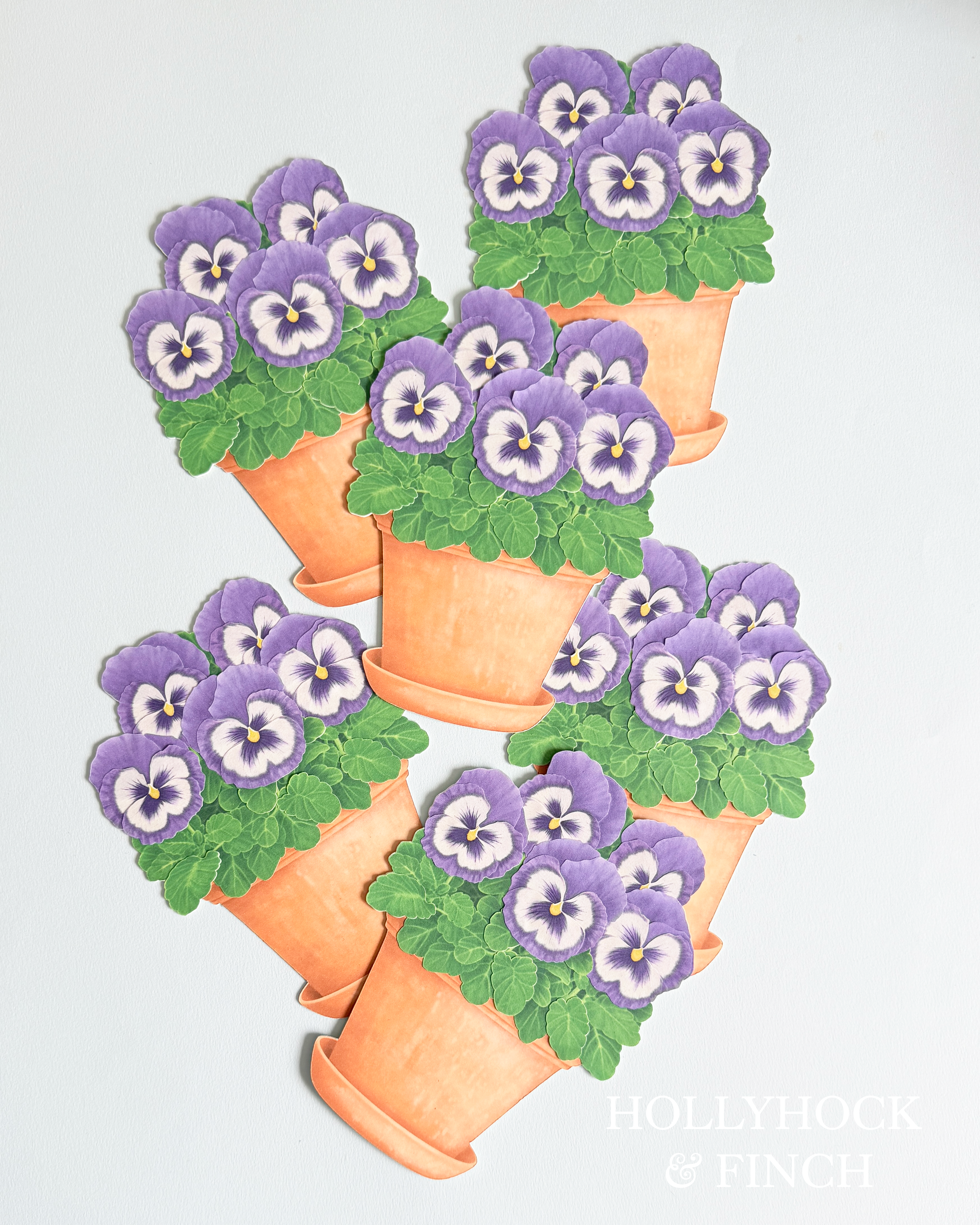 Greeting Cards