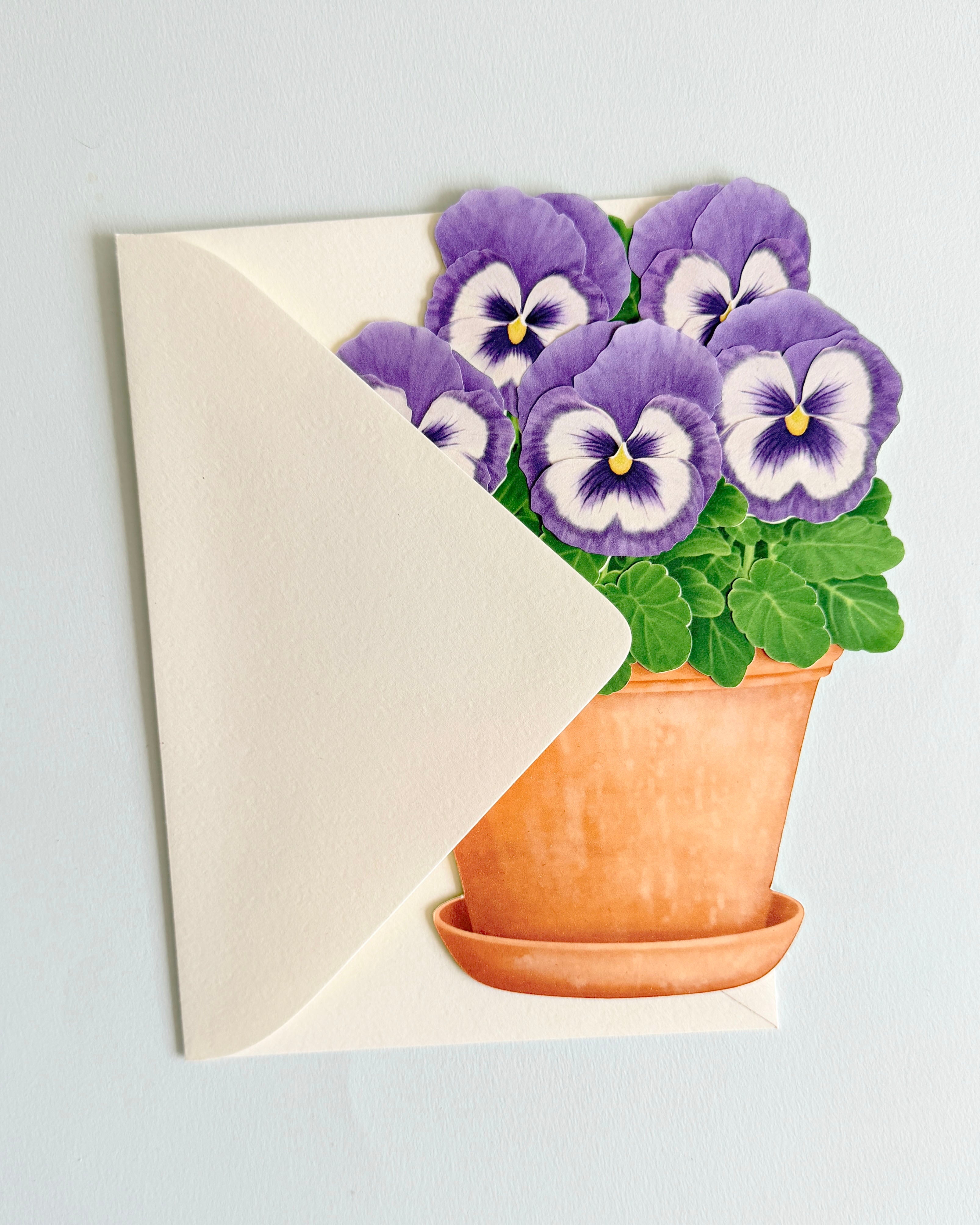 No. 1 Potted Pansy Greeting Card