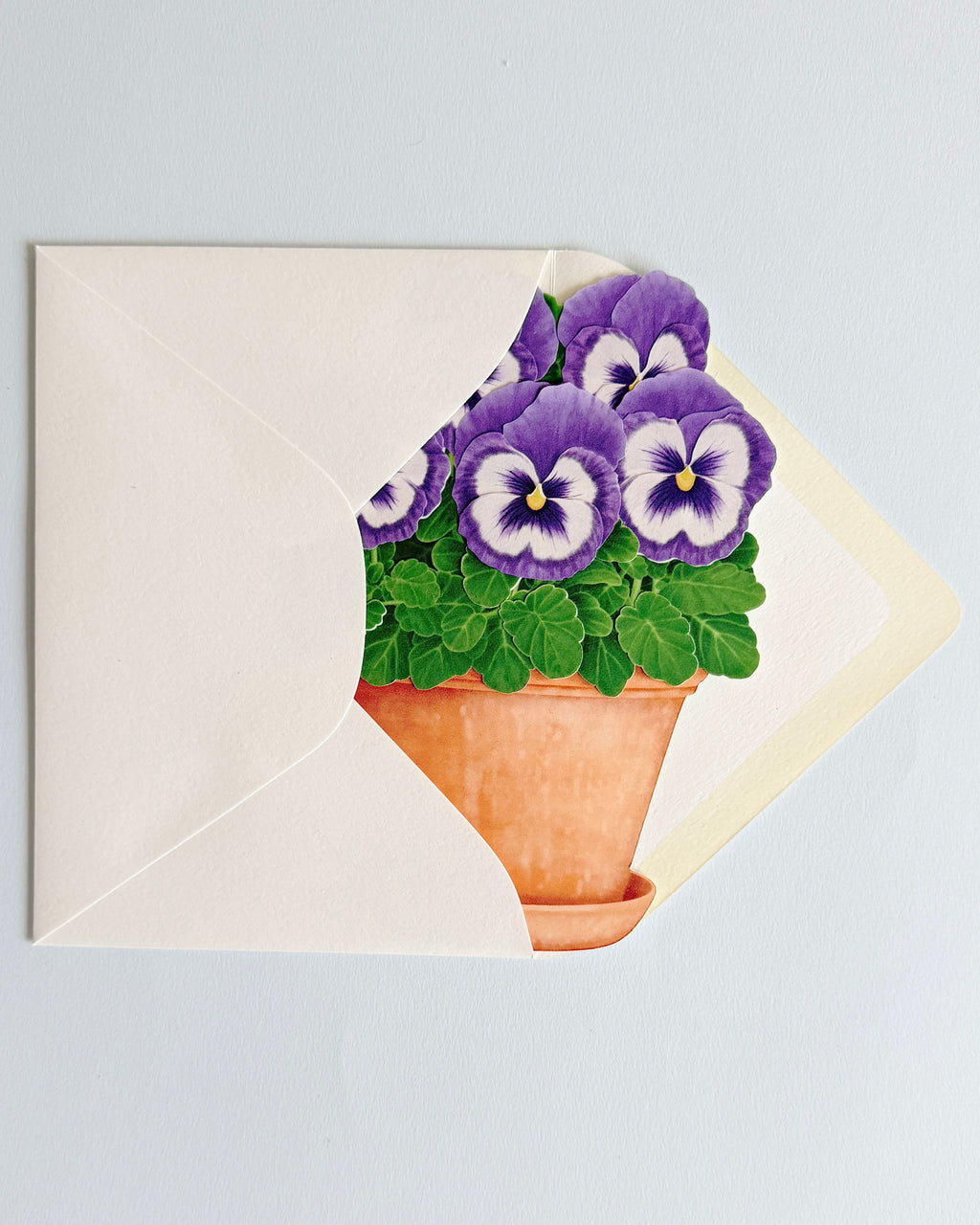 No. 1 Potted Pansy Greeting Card